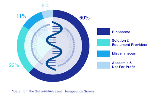 mrna-Company-Breakdown-graph